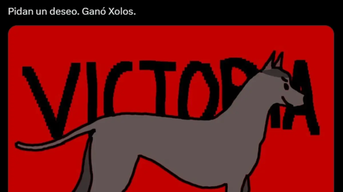 Los memes invaden a Xolos y al 'Piojo' Herrera luego de finalmente ganar en la Liga MX