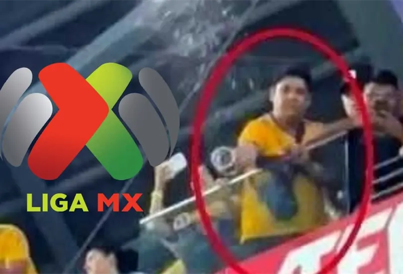 La Liga MX informó la sanción para el aficionado de Tigres. La Liga MX informó la sanción para el aficionado de Tigres.