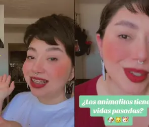 Mexicana es acusada de estafadora por leer mente de las mascotas (VIDEO)