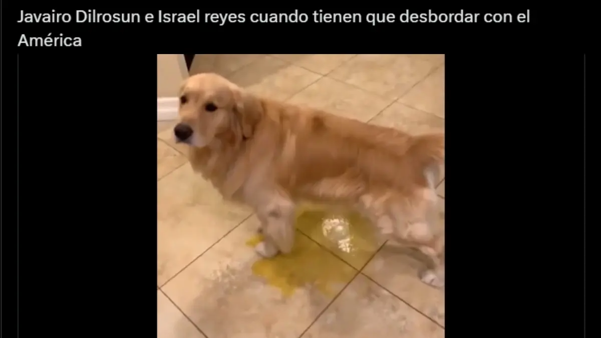 Memes se burlan del América por "ir en decadencia" tras empatar vs Pachuca