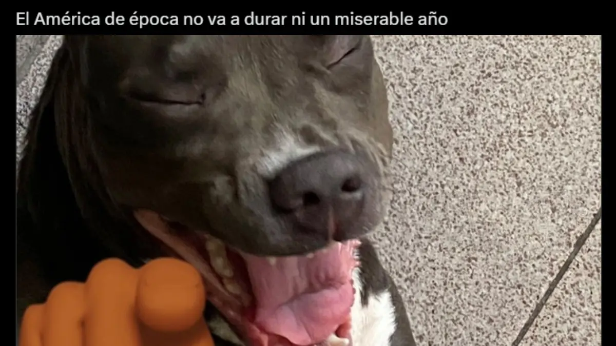 Memes se burlan del América por "ir en decadencia" tras empatar vs Pachuca