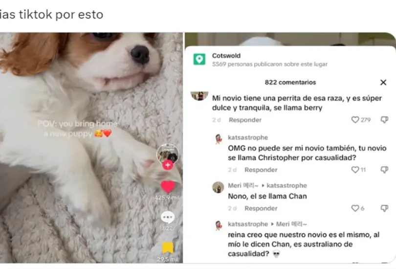 Incluso esta interacci&oacute;n en TikTok fue subida a oras redes sociales.