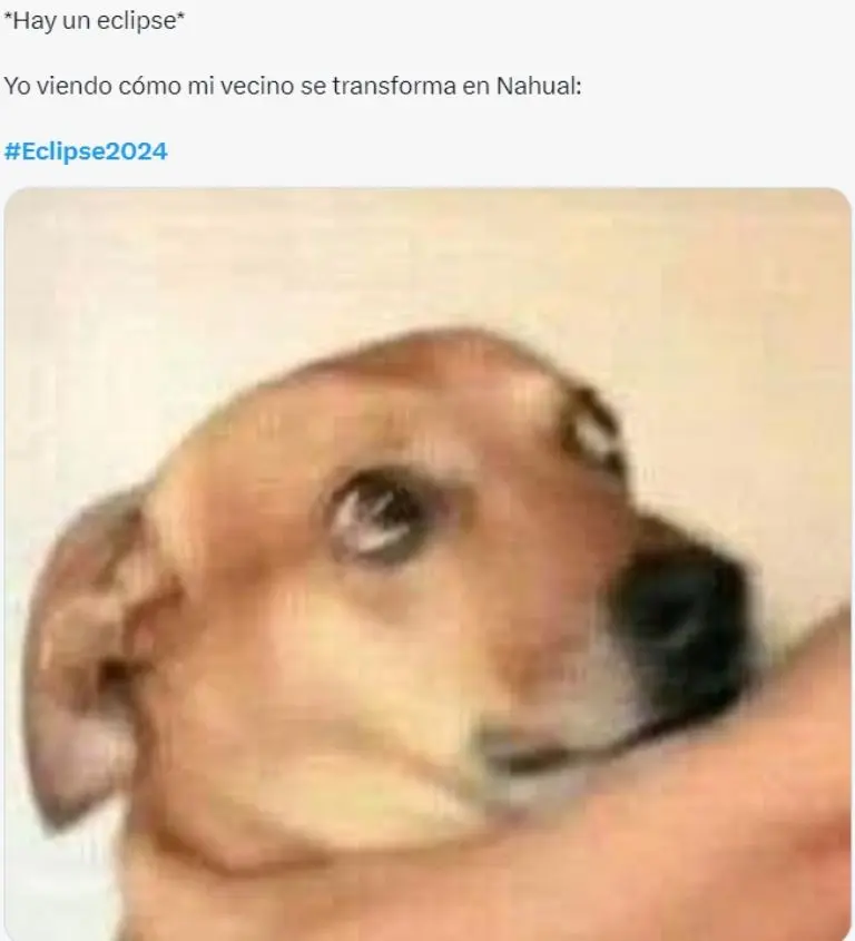Redes Sociales