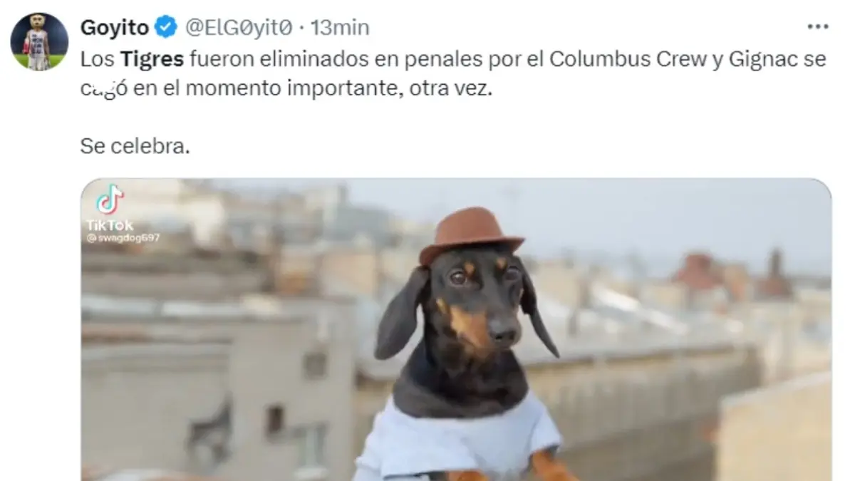 Tigres es víctima de las burlas y memes tras ser eliminado de la  Concachampions - Soy Referee, image size:1200x675