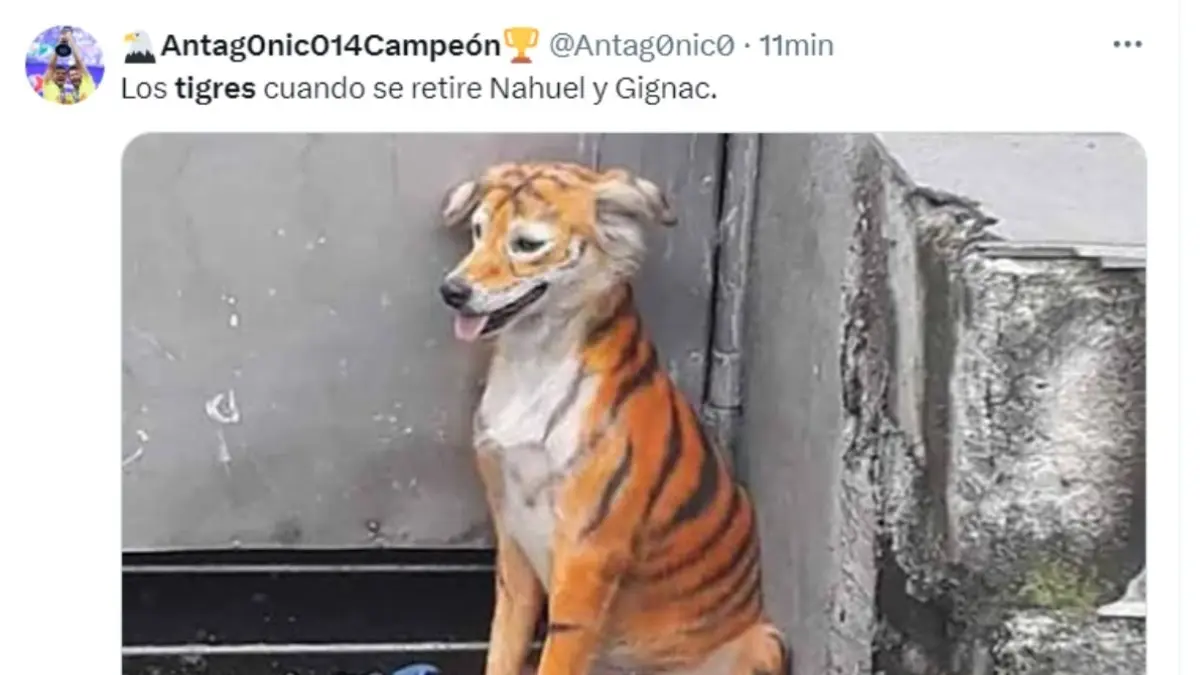 Tigres es v&iacute;ctima de las burlas y memes tras ser eliminado de la Concachampions