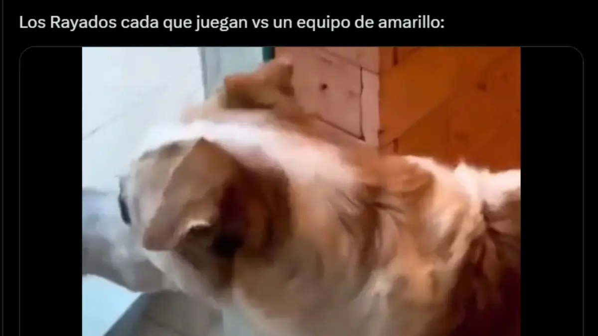 Rayados y Andrada son víctimas de los memes tras eliminación de Concachampions ante Columbus Crew