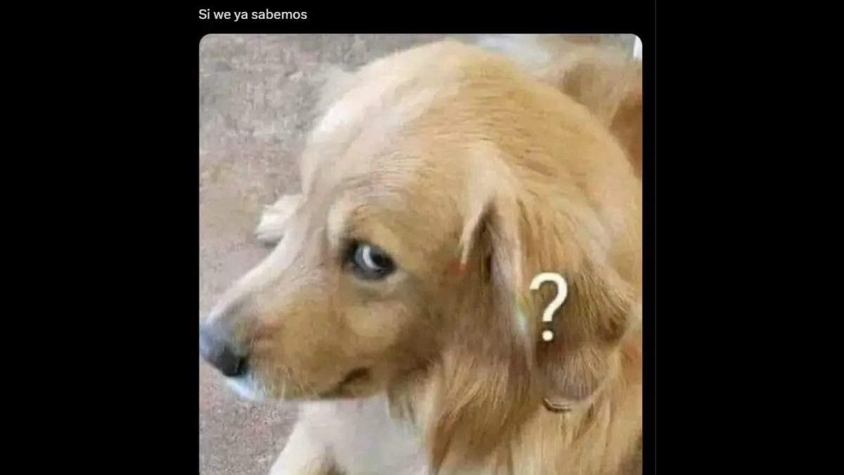 A pesar de eso, los memes por su acto ya se habían propagado, generando interacción en su publicación dentro de redes sociales.