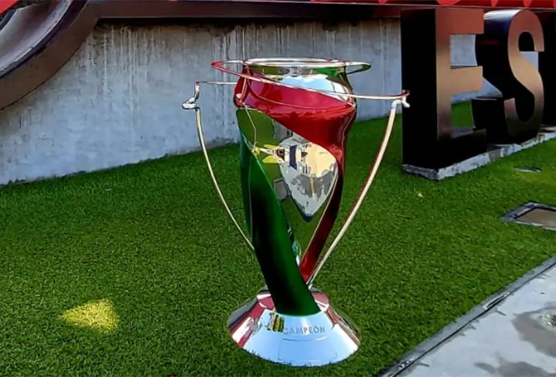 El torneo podr&iacute;a volver para darle actividad a los jugadores m&aacute;s j&oacute;venes en el futuro cercano.