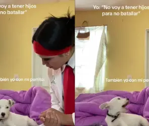 Perrito se queja en pleno regaño de su dueña y se viraliza en TikTok (VIDEO)