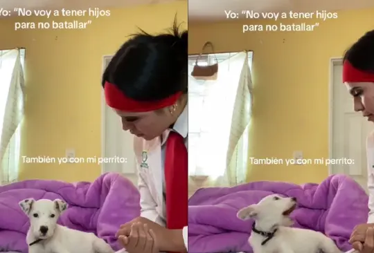 El perrito no pudo evitar protestar ante el regaño.