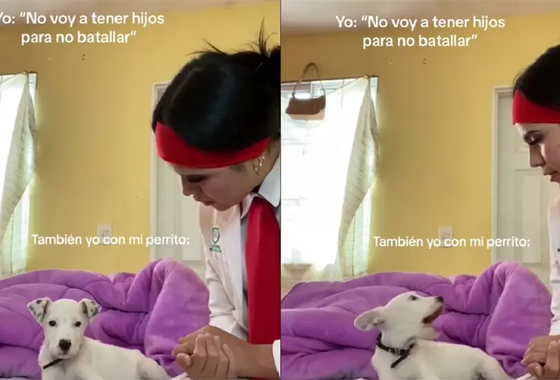 El perrito no pudo evitar protestar ante el rega&ntilde;o.