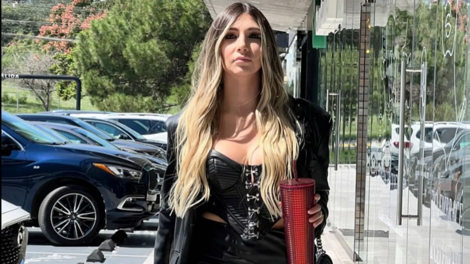 Su primer encuentro fue en el metro de Chile luego de que se dieran cuenta de que ya estaban conectados en redes.