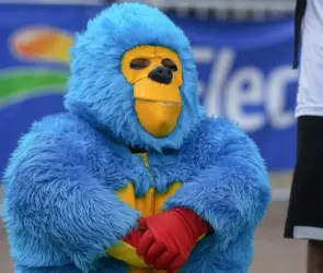 La aparatosa caída de Kemonito en plena función arriba del ring (VIDEO)