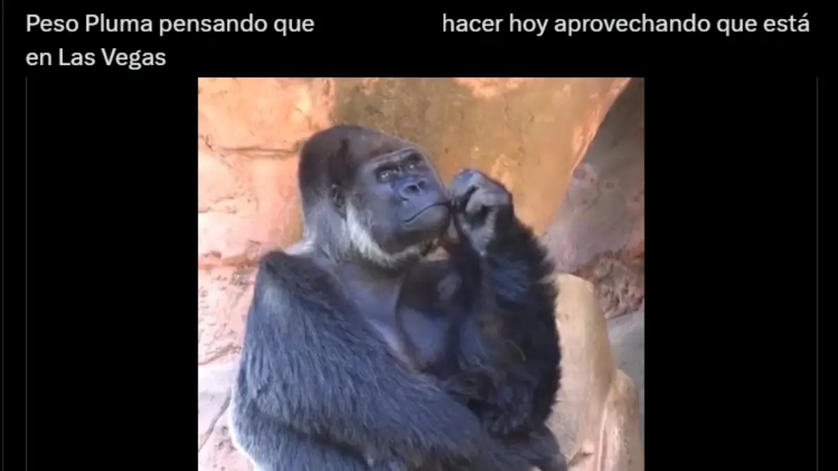 Peso Pluma protagoniza los memes durante victoria del 'Canelo' Álvarez vs Munguía