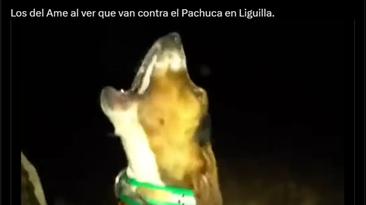 América es víctima de los memes tras confirmarse que enfrentará al Pachuca en la Liguilla