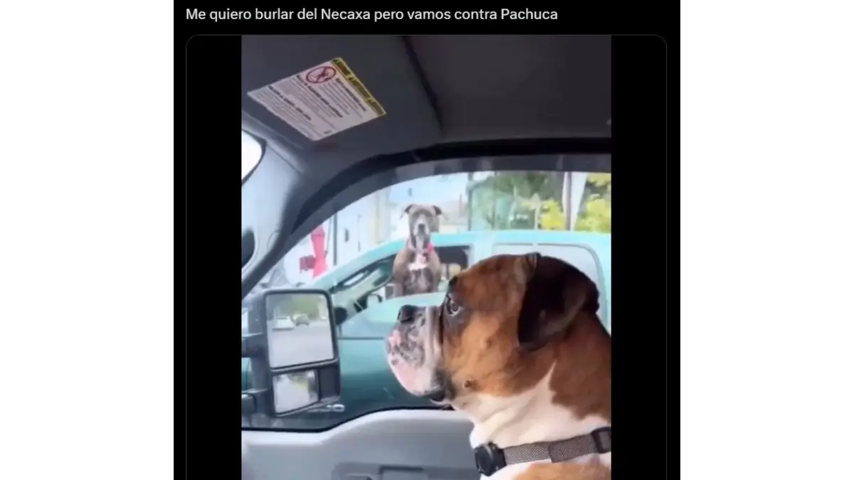 América es víctima de los memes tras confirmarse que enfrentará al Pachuca en la Liguilla