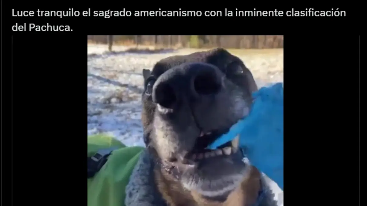 América es víctima de los memes tras confirmarse que enfrentará al Pachuca en la Liguilla