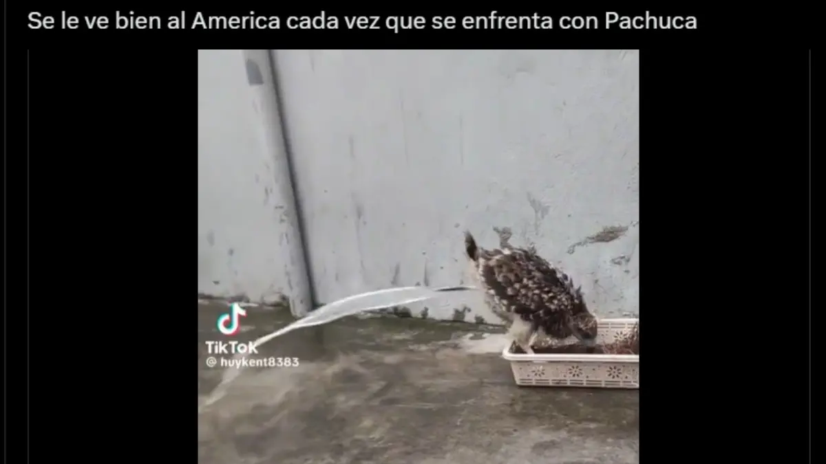 A pesar de que el marcador al tiempo es 1-1, muchos consideran que el América 'está cag...o' en la cancha del Estadio Hidalgo.