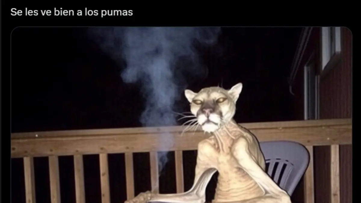 Los mejores memes de la victoria de Cruz Azul vs Pumas en Ciudad Universitaria