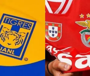 Tigres consigue fichaje de estrella del Benfica para el Apertura 2024
