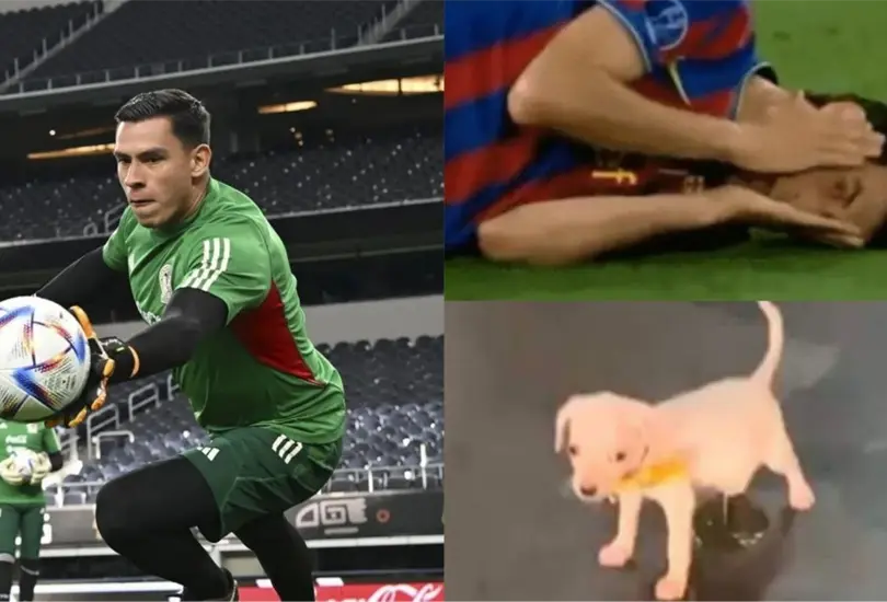 El guardameta podría ser baja contra Brasil y las reacciones no se hicieron esperar contra de él. El guardameta podría ser baja contra Brasil y las reacciones no se hicieron esperar contra de él.