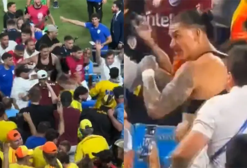 Darwin N&uacute;&ntilde;ez se agarr&oacute; a golpes en la grada.