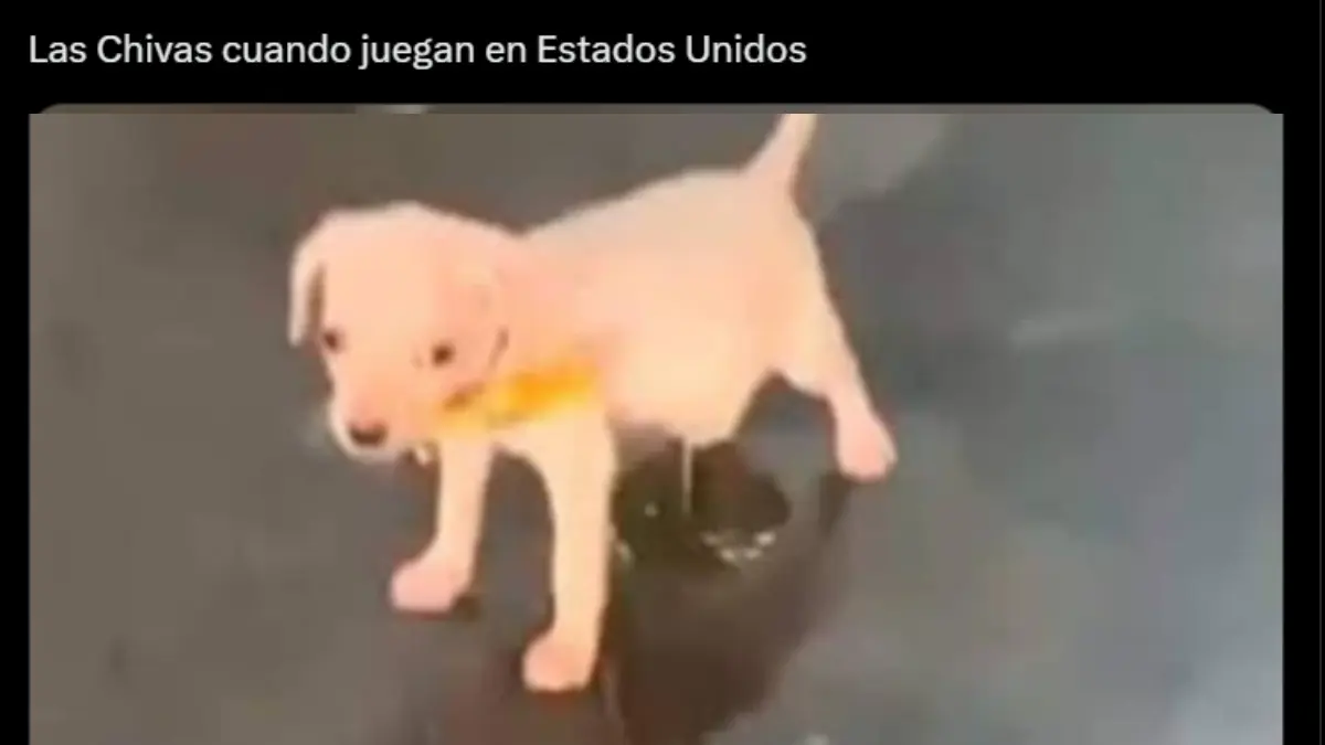 Las burlas y memes no se detuvieron al ver que Chivas perdió por una acción mínima.