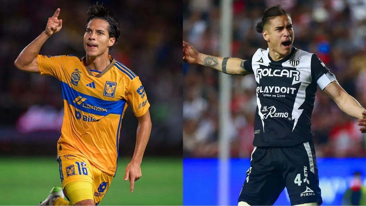 Liga MX Apertura 2024 | Ver Tigres vs Necaxa EN VIVO HOY: Detalles de ...