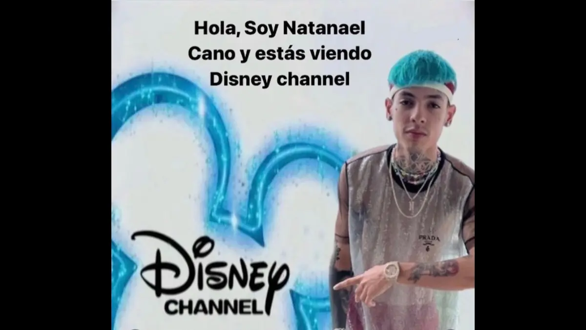 La transmisión del concierto por Disney Plus facilitó las cosas para muchos de sus seguidores, los cuales disfrutaron de este momento.