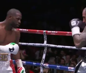 BIG BOLA CASINOS PRESENTA | Floyd Mayweather vs John Gotti III EN VIVO minuto a minuto