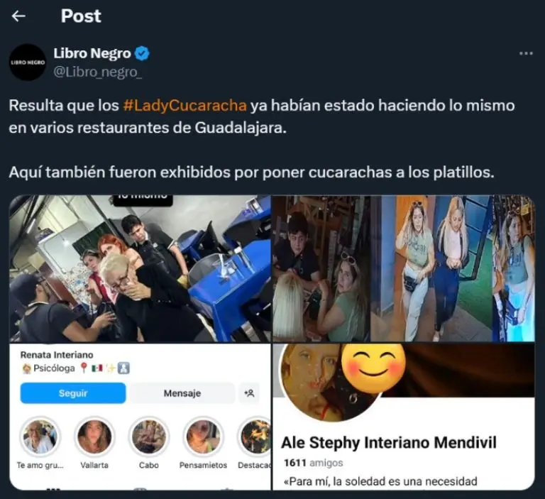 Usuarios exhibieron fraudes de #LadyCucaracha tras usar una cucaracha falsa para no pagar una cuenta - Captura