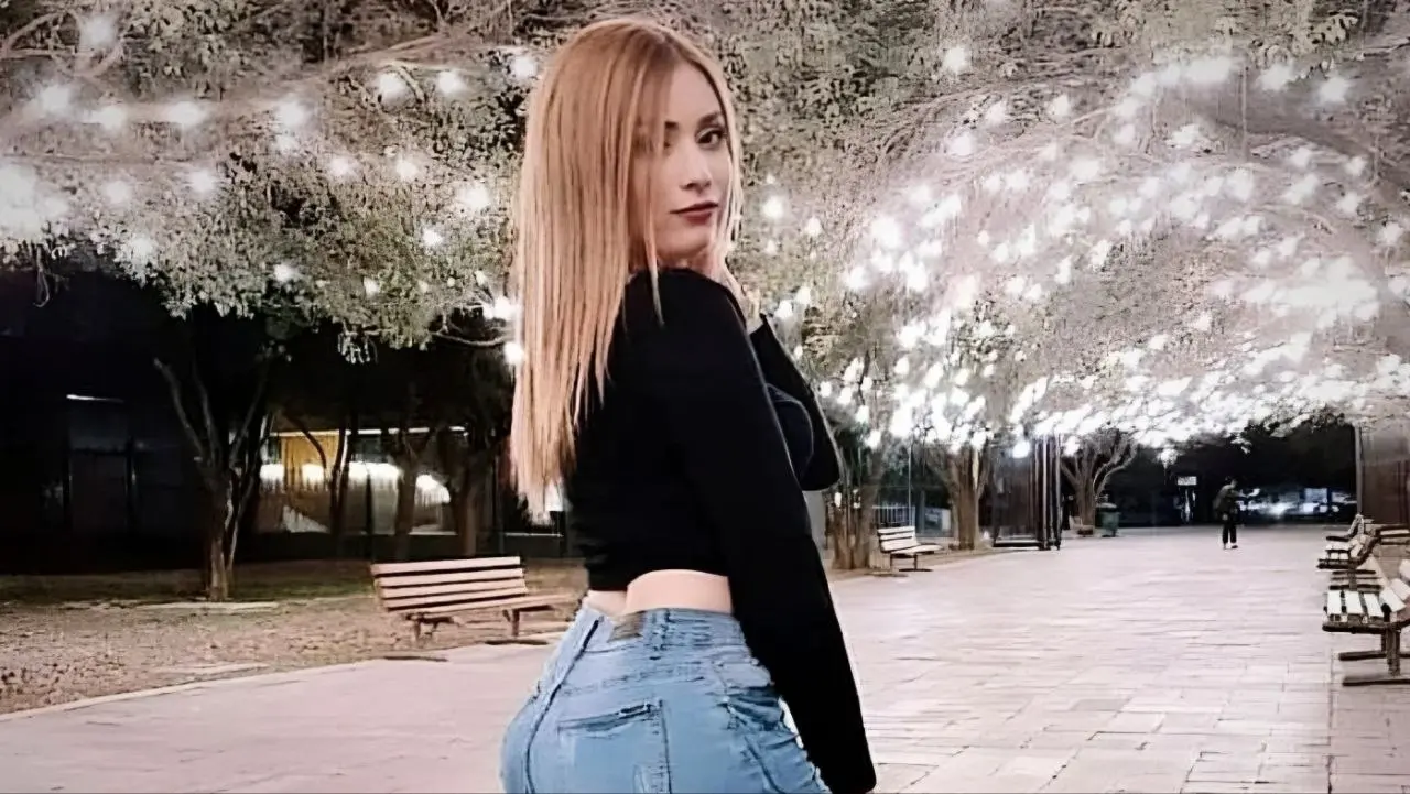 Lizeth tiene a una base de seguidores por tambi&eacute;n hacer su propio contenido.