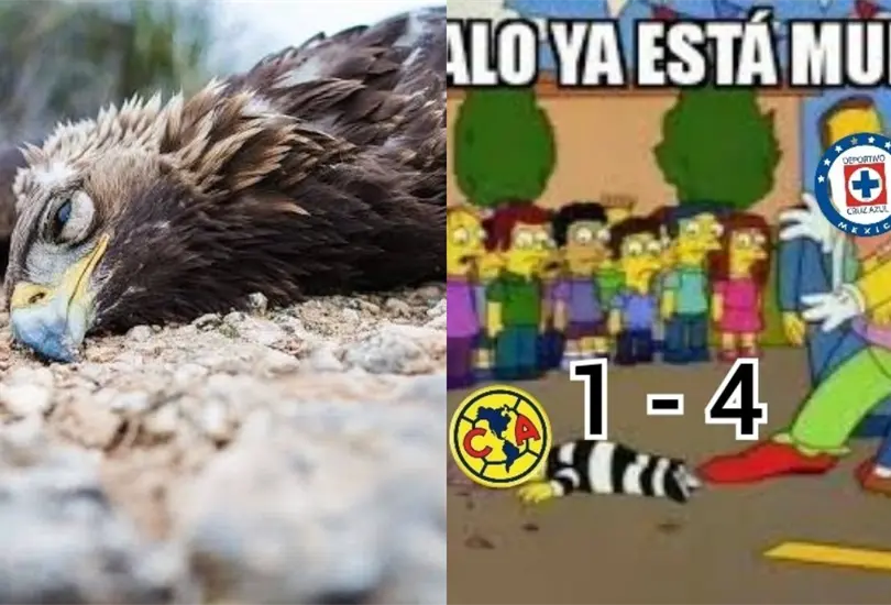El equipo de Coapa termin&oacute; con las burlas de los aficionados por el resultado ante la M&aacute;quina.