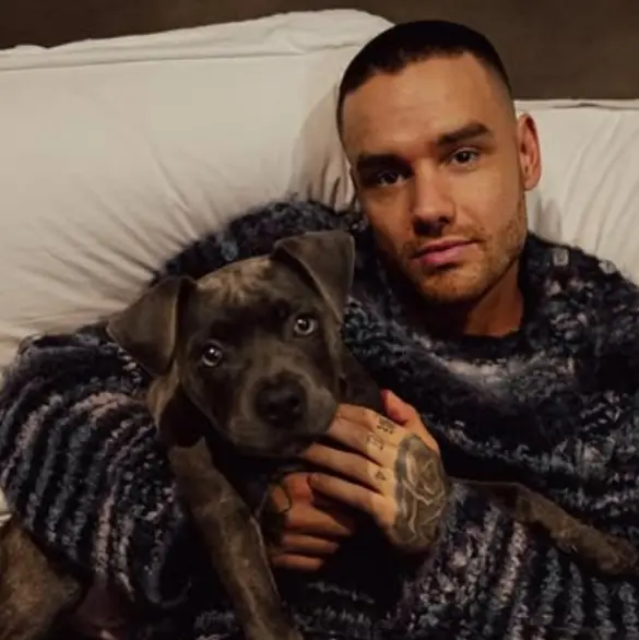 Liam Payne: Revelan su verdadera causa de muerte