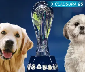 Equipo de la Liga MX inicia proceso para entrar con mascotas a su estadio