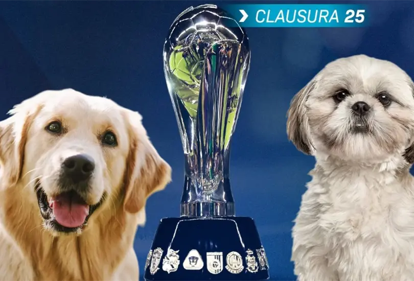 Los aficionados podr&aacute;n acudir al estadio en compa&ntilde;&iacute;a de sus mascotas