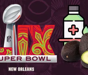 Las mejores curiosidades sobre el Super Bowl LIX