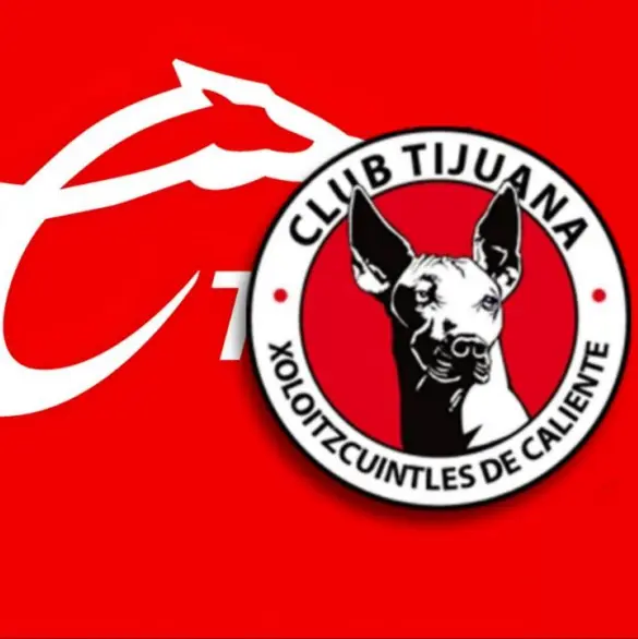 Analista de Caliente TV sería nuevo técnico de Xolos