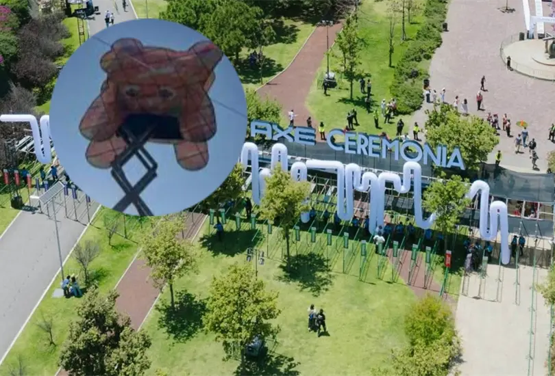 Nueva informaci&oacute;n sobre la gr&uacute;a que cay&oacute; llena de indignaci&oacute;n las redes sociales