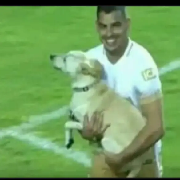 Los memes no perdonaron la eliminación de Pumas a manos de Rayados