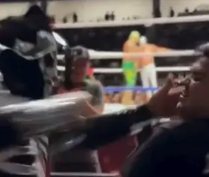 L.A Park agrede a aficionado en plena función (VIDEO)