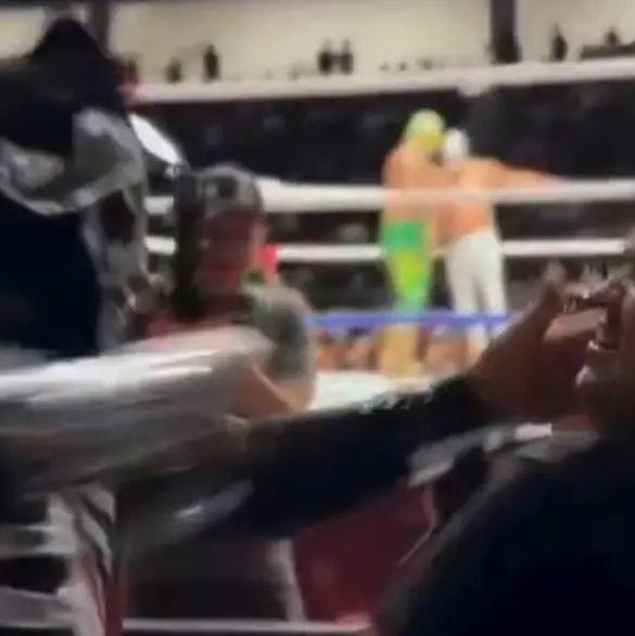 L.A Park agrede a aficionado en plena función (VIDEO)