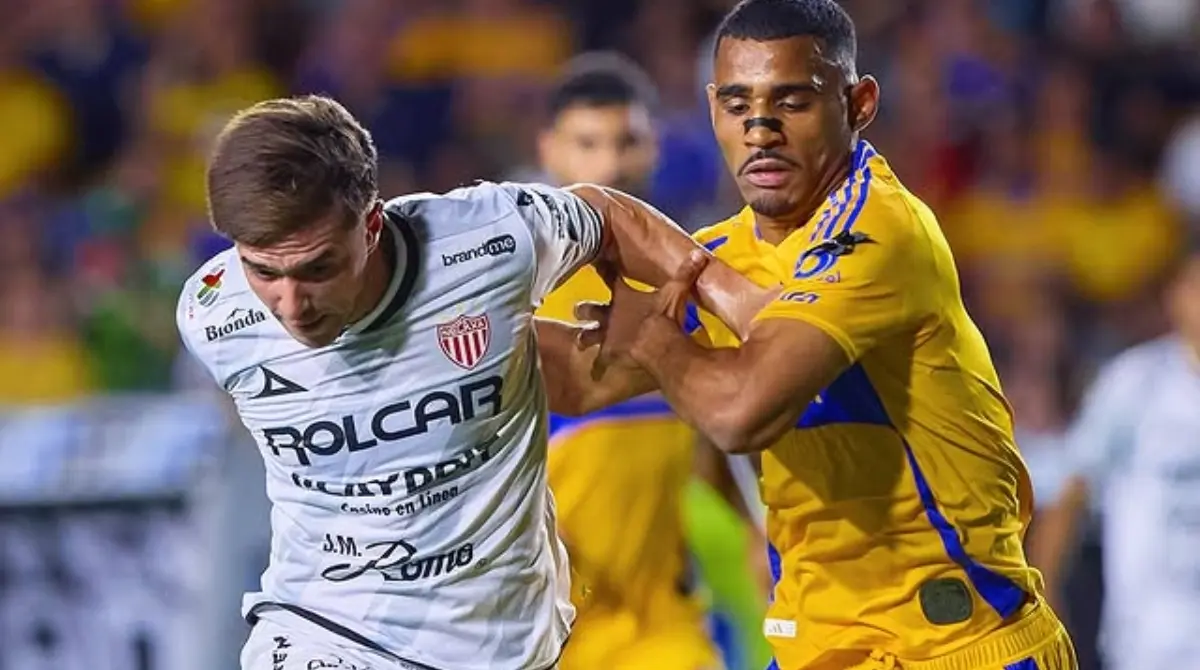  Tigres pasó a las semifinales de forma polémica 