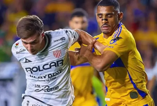 Tigres pasó a las semifinales de forma polémica Tigres pasó a las semifinales de forma polémica