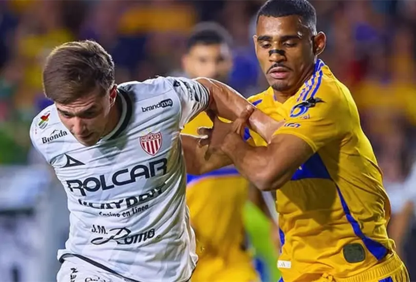 Tigres pas&oacute; a las semifinales de forma pol&eacute;mica