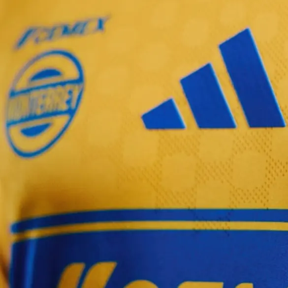 La razón por la que Tigres no será campeón por culpa de su jersey