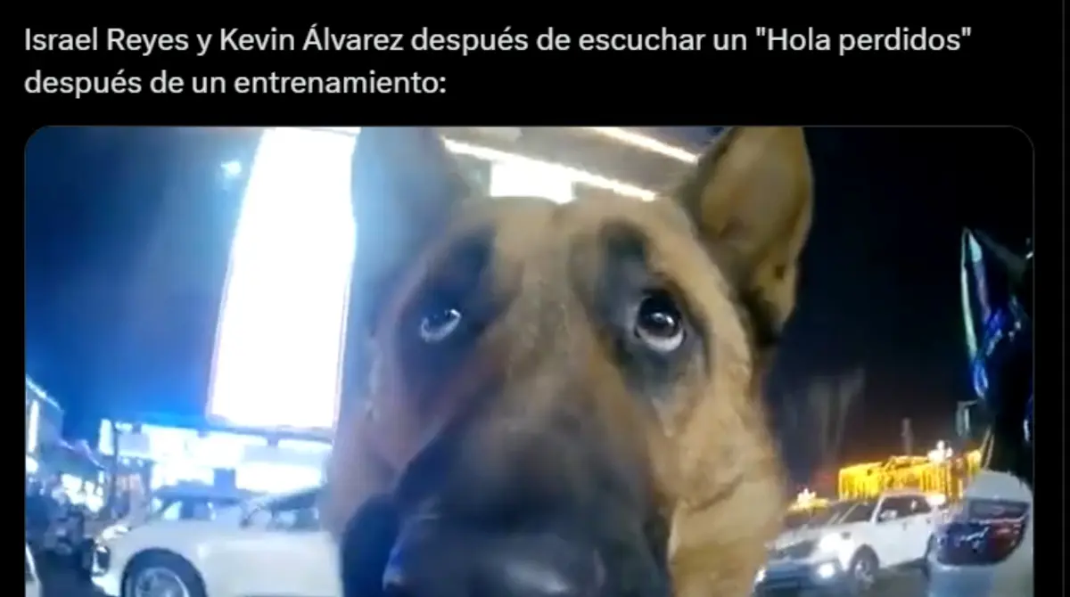 La posible llegada de Nailea Vidrio al América ha provocado todo tipo de memes.