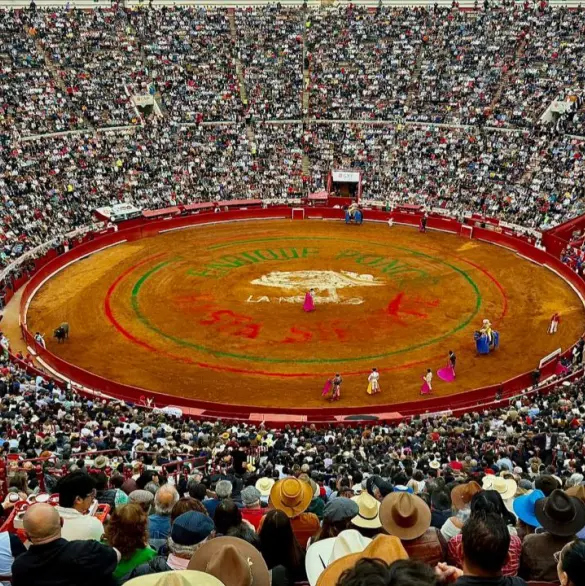 Plaza de Toros México ve imposible hacer corridas tras legislación