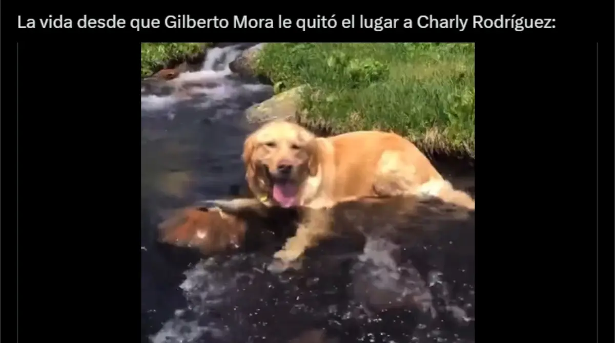 El chico de 16 años demostró su calidad y poco a poco se hace con un nombre en el Tricolor.
