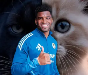 Pantera Zúñiga al América: ¿Pantera o Gatito?